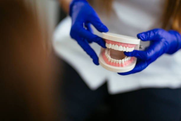 Best Pediatric Dentistry  in St Anne, IL