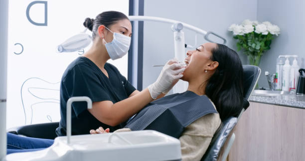 Best Dental Exams and Cleanings  in St Anne, IL